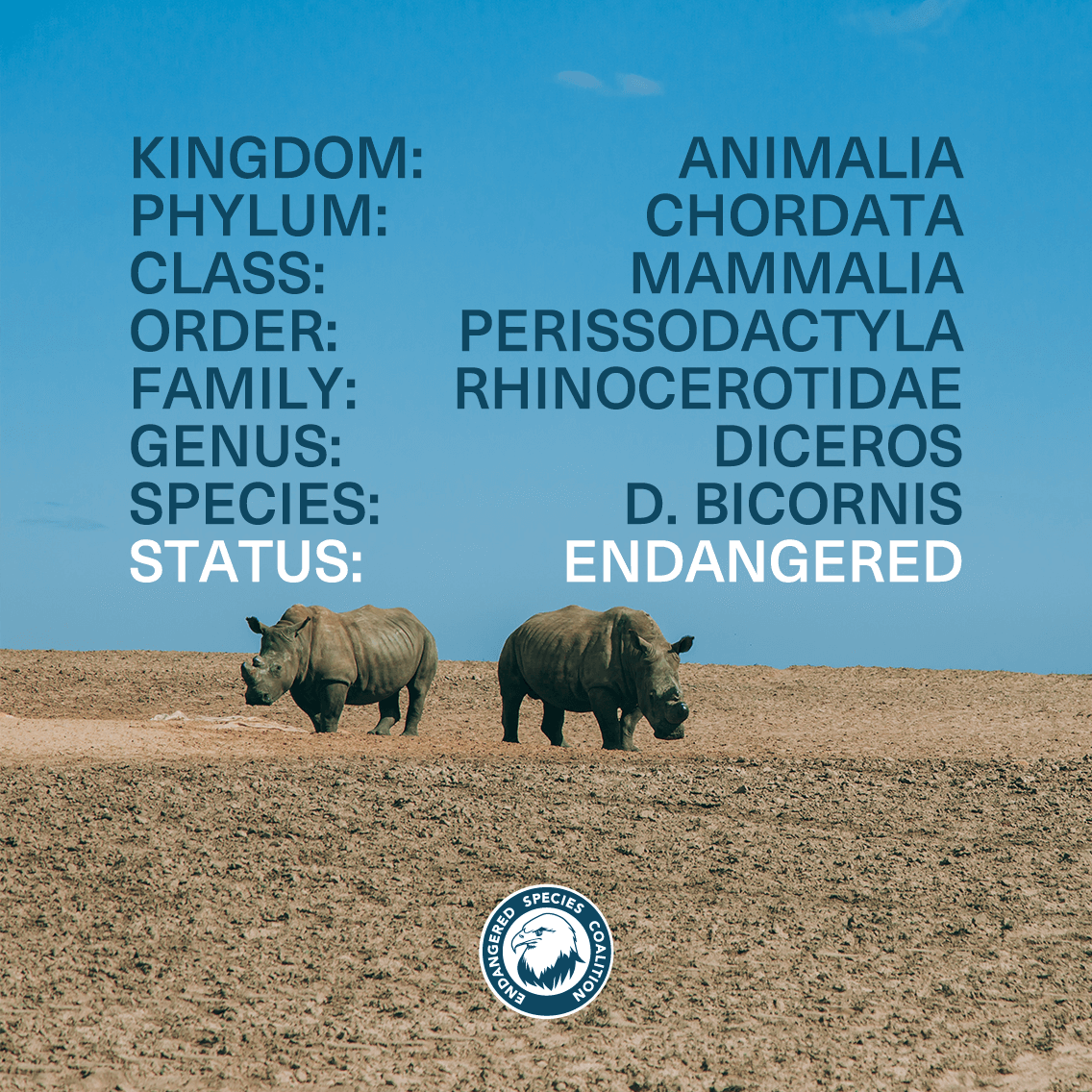 Raise Awareness On Endangered Species Day Waymark Video Ads